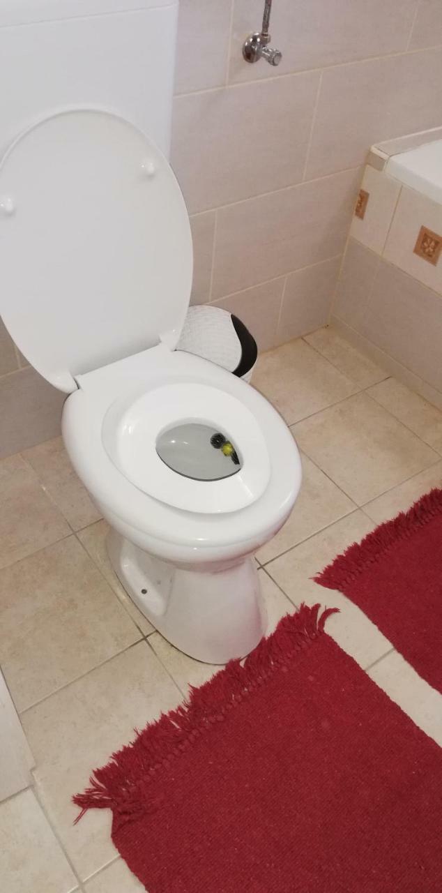 Apartmán Bandi Vendeghaz Verpelét Exteriér fotografie